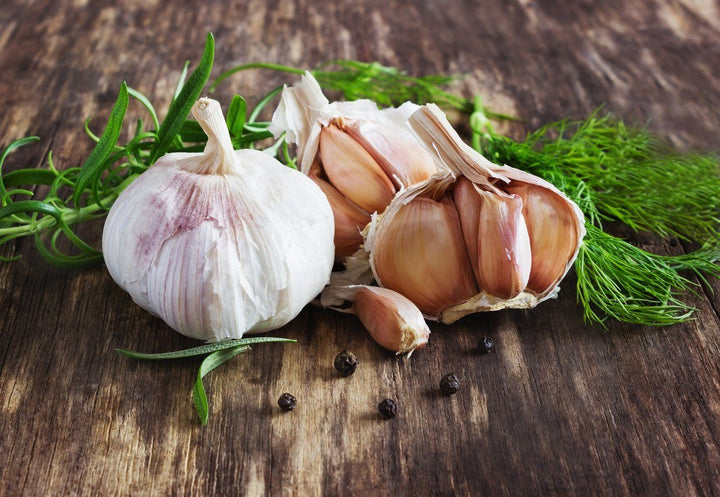 Why Garlic Is Good For You