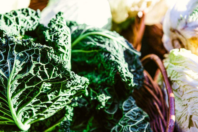 10 Healthiest Leafy Green Vegetables