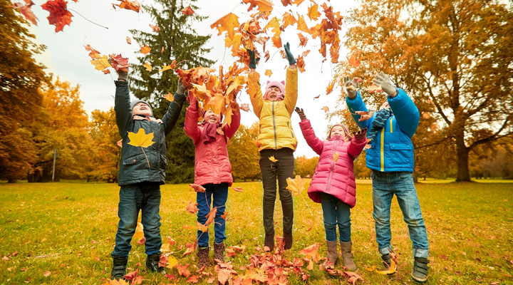 Autumn Equinox Reset: Boosting Immunity for the Changing Seasons