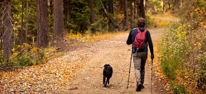 Immune Reset with Multivitamins: Strengthening Your Body for Fall